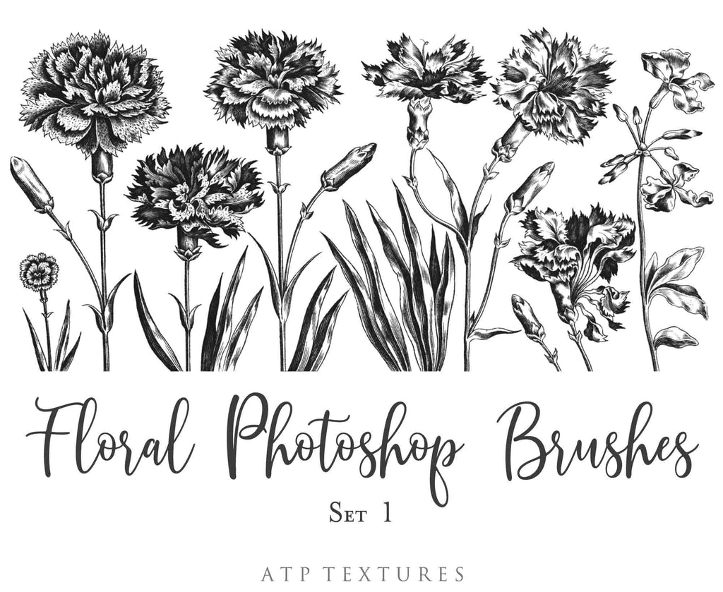 Photoshop Brushes for Photography, Scrapbooking and Digital Art. 45 Beautiful Cochin Floral Brushes.High resolution and perfect for printing without any loss in quality.These are created from beautiful, aged medieval prints. ATP Textures