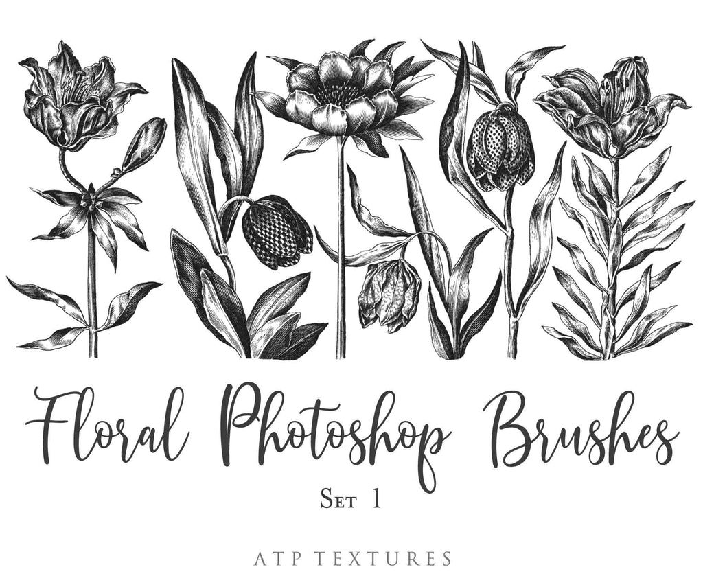 Photoshop Brushes for Photography, Scrapbooking and Digital Art. 45 Beautiful Cochin Floral Brushes.High resolution and perfect for printing without any loss in quality.These are created from beautiful, aged medieval prints. ATP Textures