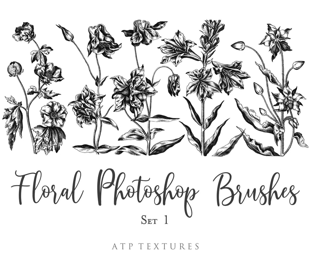 Photoshop Brushes for Photography, Scrapbooking and Digital Art. 45 Beautiful Cochin Floral Brushes.High resolution and perfect for printing without any loss in quality.These are created from beautiful, aged medieval prints. ATP Textures