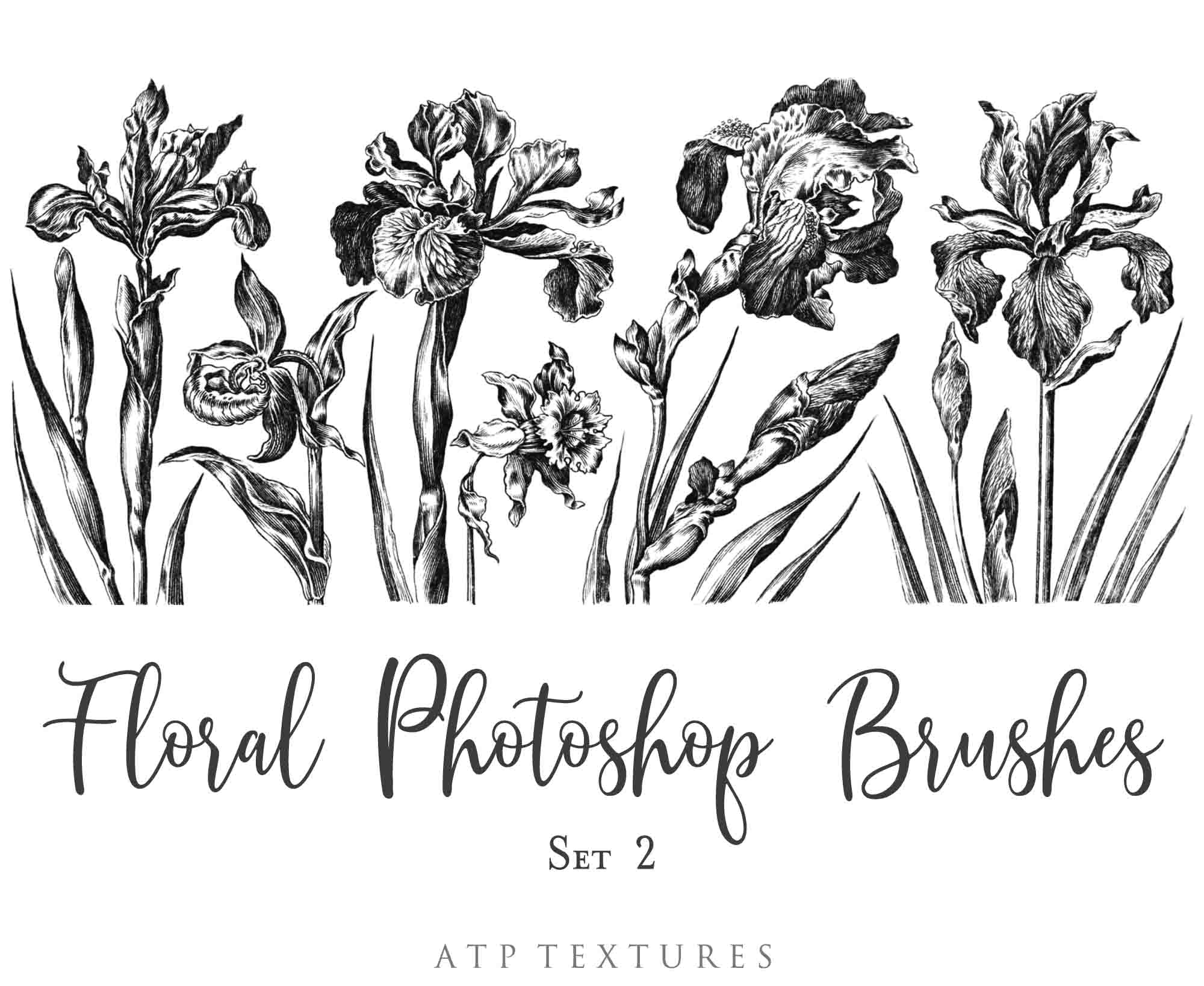 Photoshop Brushes for Photography, Scrapbooking and Digital Art. 45 Beautiful Cochin Floral Brushes.High resolution and perfect for printing without any loss in quality.These are created from beautiful, aged medieval prints. ATP Textures