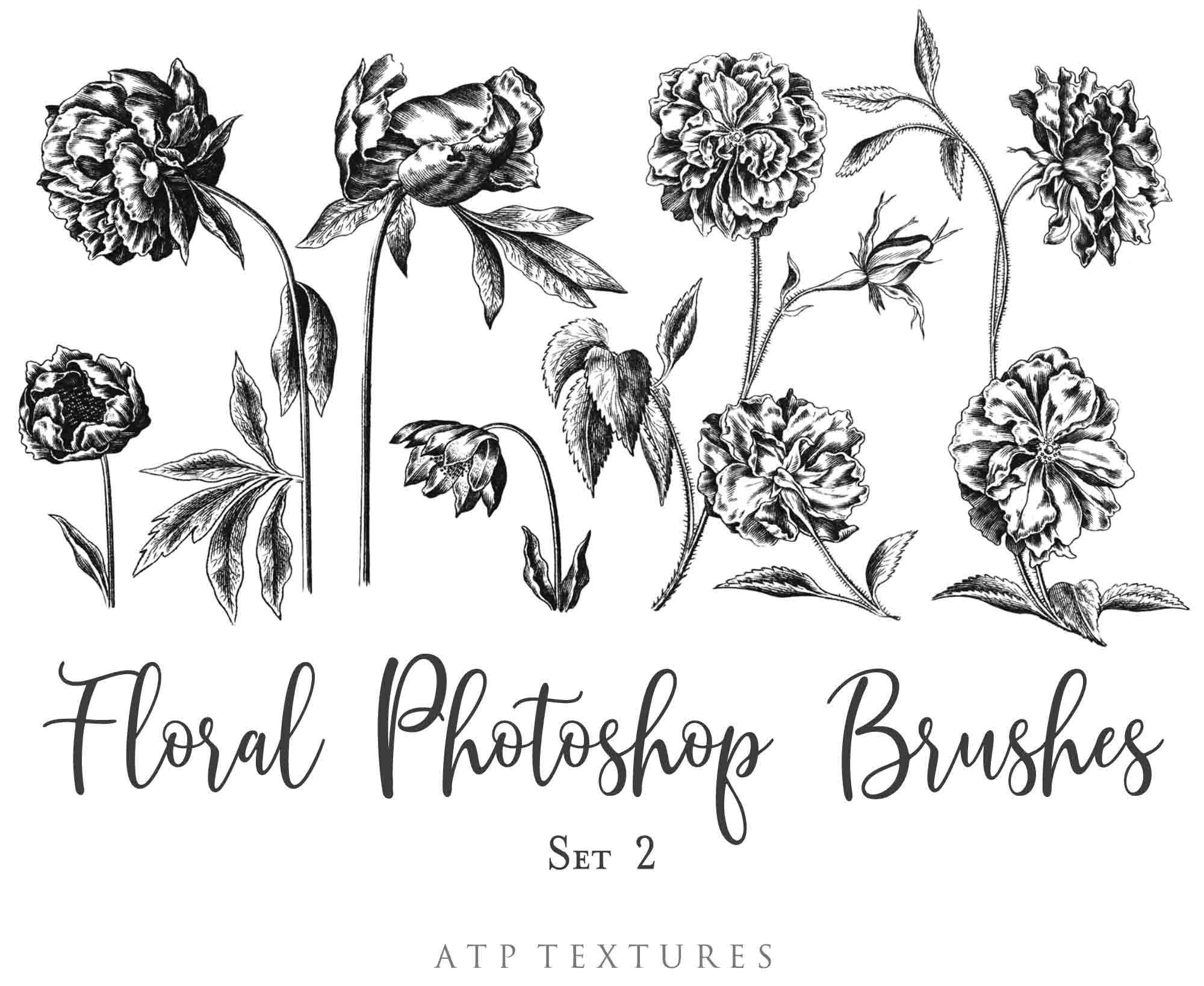 Photoshop Brushes for Photography, Scrapbooking and Digital Art. 45 Beautiful Cochin Floral Brushes.High resolution and perfect for printing without any loss in quality.These are created from beautiful, aged medieval prints. ATP Textures