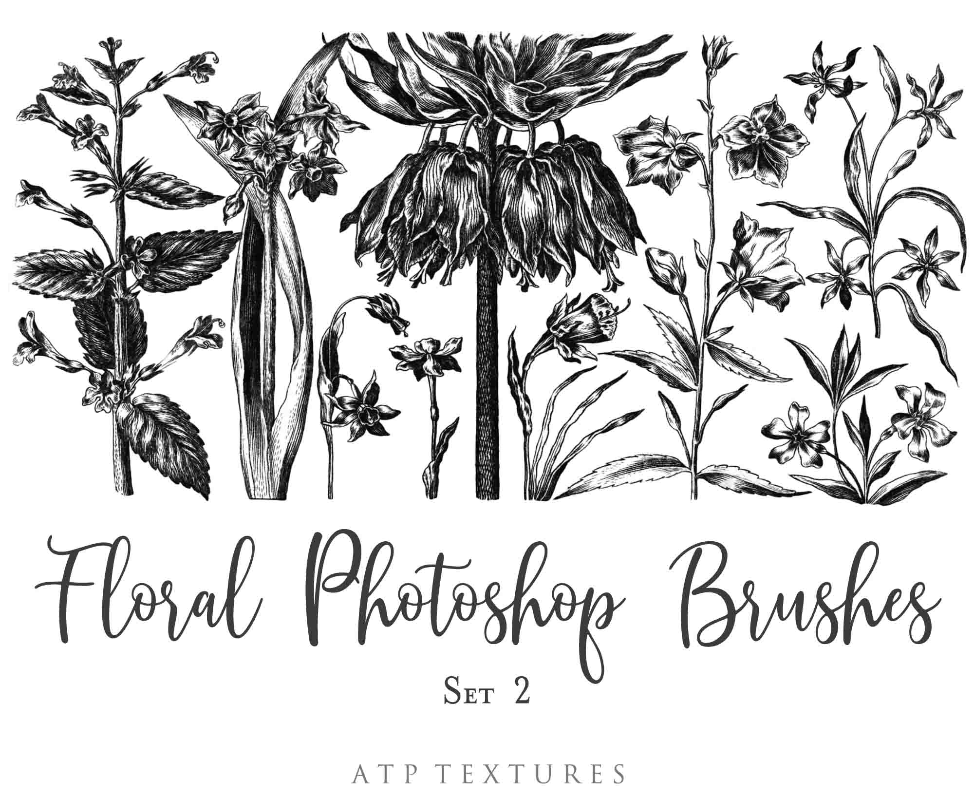 Photoshop Brushes for Photography, Scrapbooking and Digital Art. 45 Beautiful Cochin Floral Brushes.High resolution and perfect for printing without any loss in quality.These are created from beautiful, aged medieval prints. ATP Textures