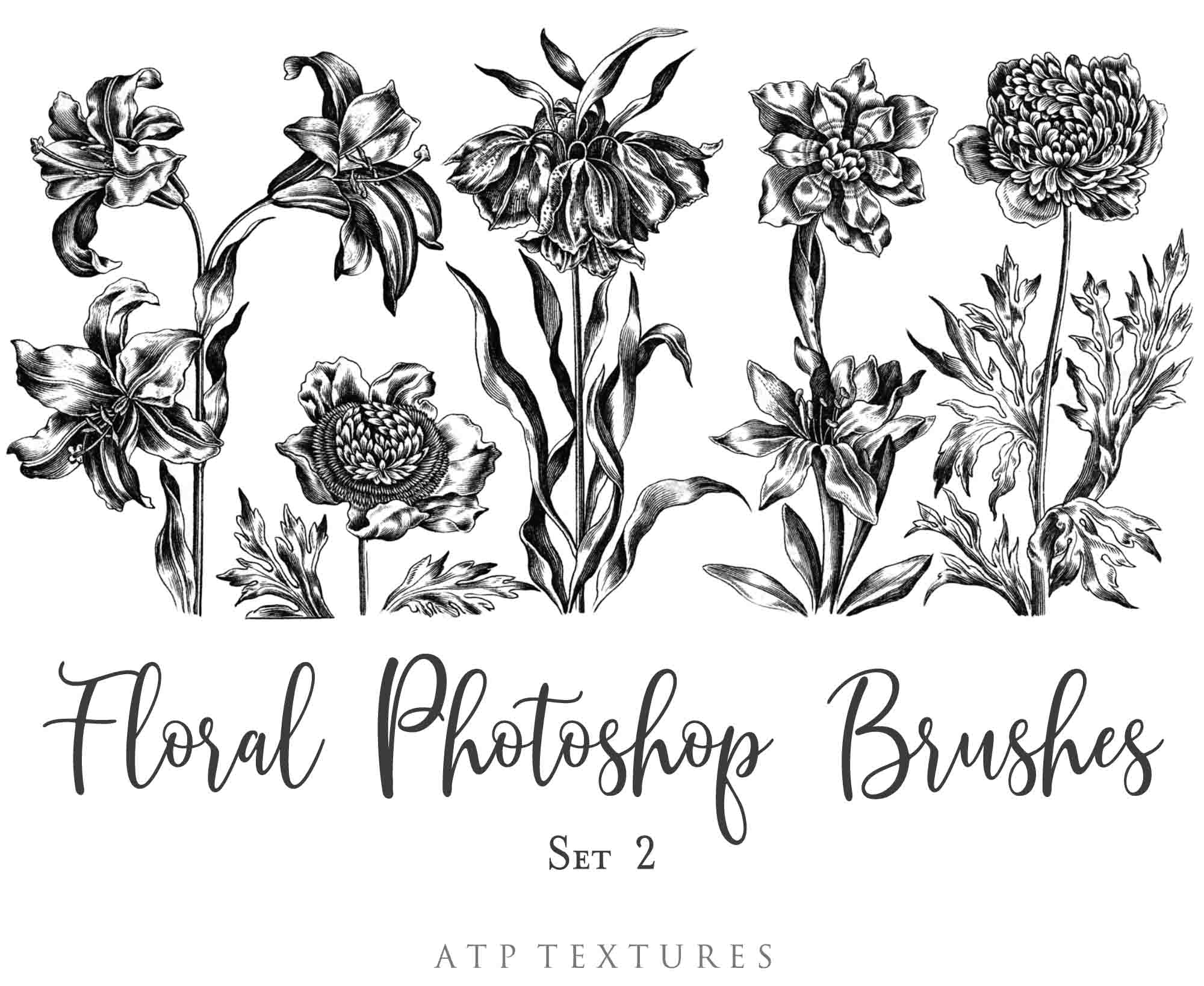 Photoshop Brushes for Photography, Scrapbooking and Digital Art. 45 Beautiful Cochin Floral Brushes.High resolution and perfect for printing without any loss in quality.These are created from beautiful, aged medieval prints. ATP Textures