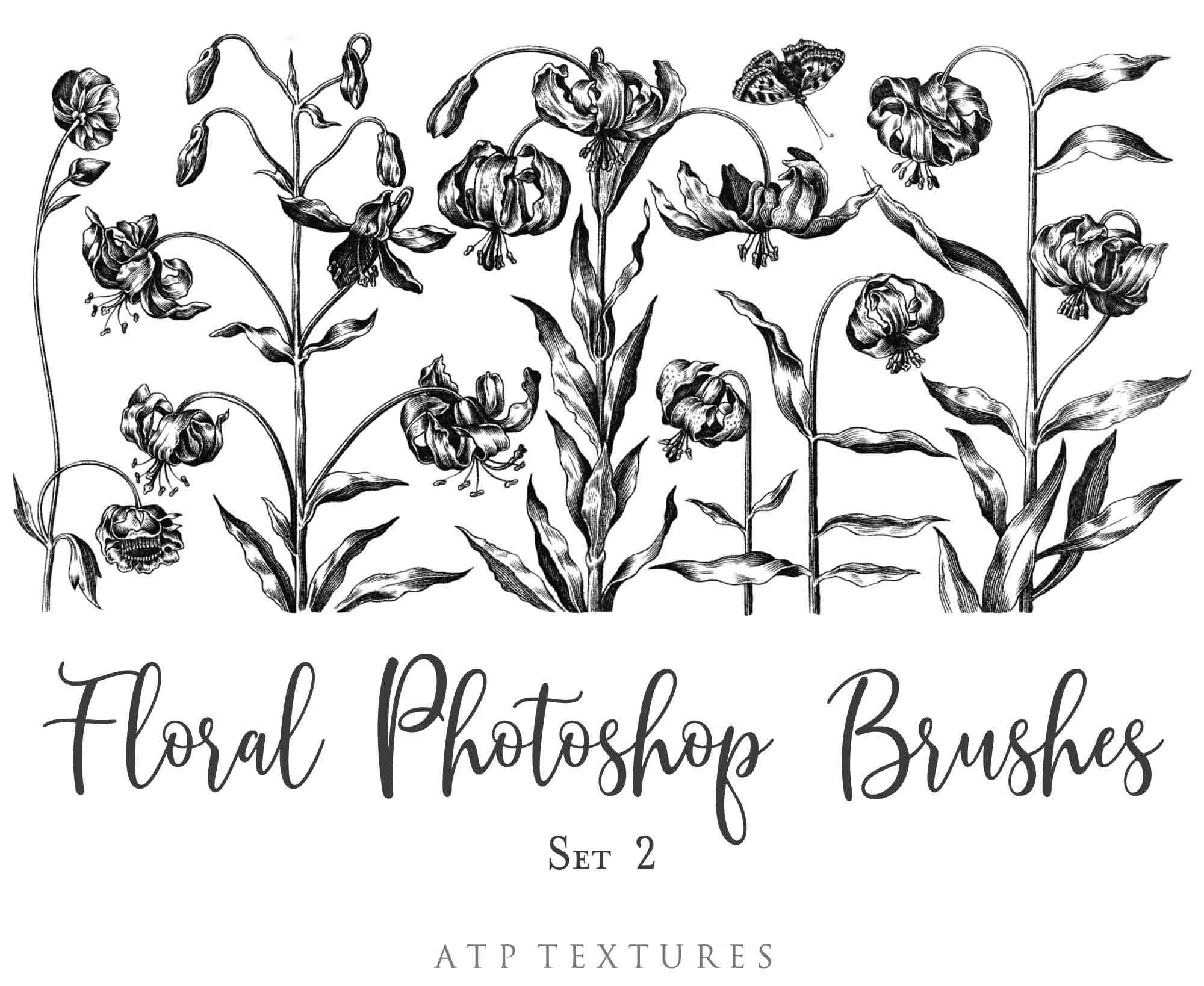 Photoshop Brushes for Photography, Scrapbooking and Digital Art. 45 Beautiful Cochin Floral Brushes.High resolution and perfect for printing without any loss in quality.These are created from beautiful, aged medieval prints. ATP Textures
