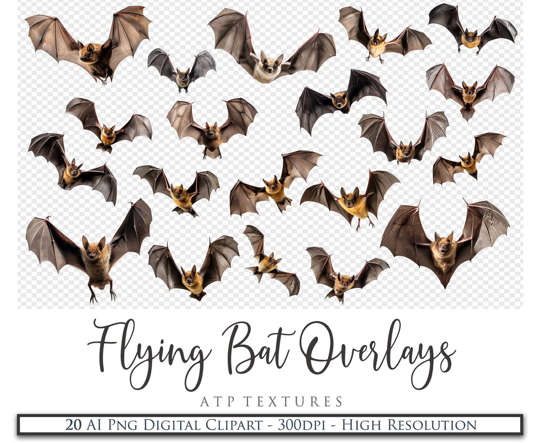 FLYING BAT Clipart Animals - Digital Overlays