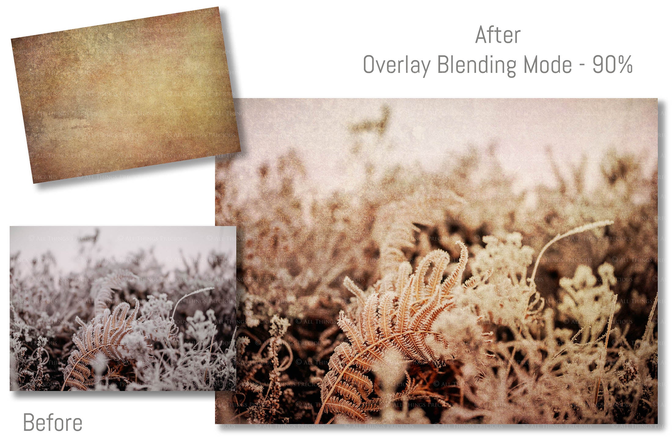 Winter Cool Tinted Textures. Fine art texture for photographers, digital editing. Photo Overlays. Antique, Old World, Grunge, Light, Bundle. Textured printable Canvas, Colour, black and white, Bundle. High resolution, 300dpi Graphic Assets for photography, digital scrapbooking and design. By ATP Textures