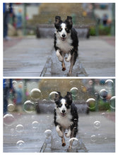 Load image into Gallery viewer, FLOATING BUBBLE Photoshop Brushes
