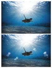 Load image into Gallery viewer, FLOATING JELLYFISH Digital Overlays
