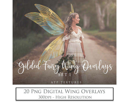 Colour Sparkling fairy wings, Png overlays for photoshop. High resolution transparent, see through wings. Fairycore, Cosplay, Photographers, Photoshop Edits, Digital overlay for photography. Digital stock and resources. Graphic design. Colourful, Gold, Fantasy Wing Bundle. Assets for Fine Art design. By ATP Textures