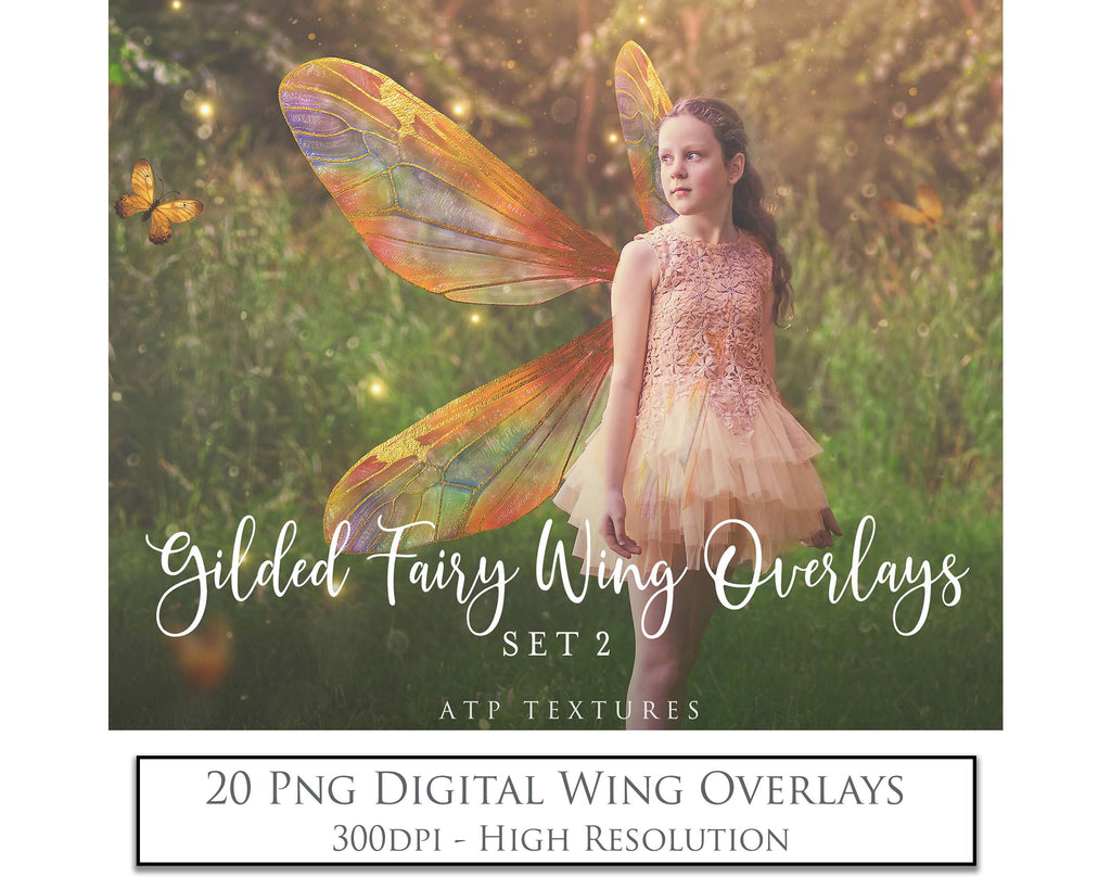 Colour Sparkling fairy wings, Png overlays for photoshop. High resolution transparent, see through wings. Fairycore, Cosplay, Photographers, Photoshop Edits, Digital overlay for photography. Digital stock and resources. Graphic design. Colourful, Gold, Fantasy Wing Bundle. Assets for Fine Art design. By ATP Textures