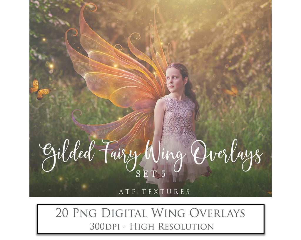 Colour Sparkling fairy wings, Png overlays for photoshop. High resolution transparent, see through wings. Fairycore, Cosplay, Photographers, Photoshop Edits, Digital overlay for photography. Digital stock and resources. Graphic design. Colourful, Gold, Fantasy Wing Bundle. Assets for Fine Art design. By ATP Textures