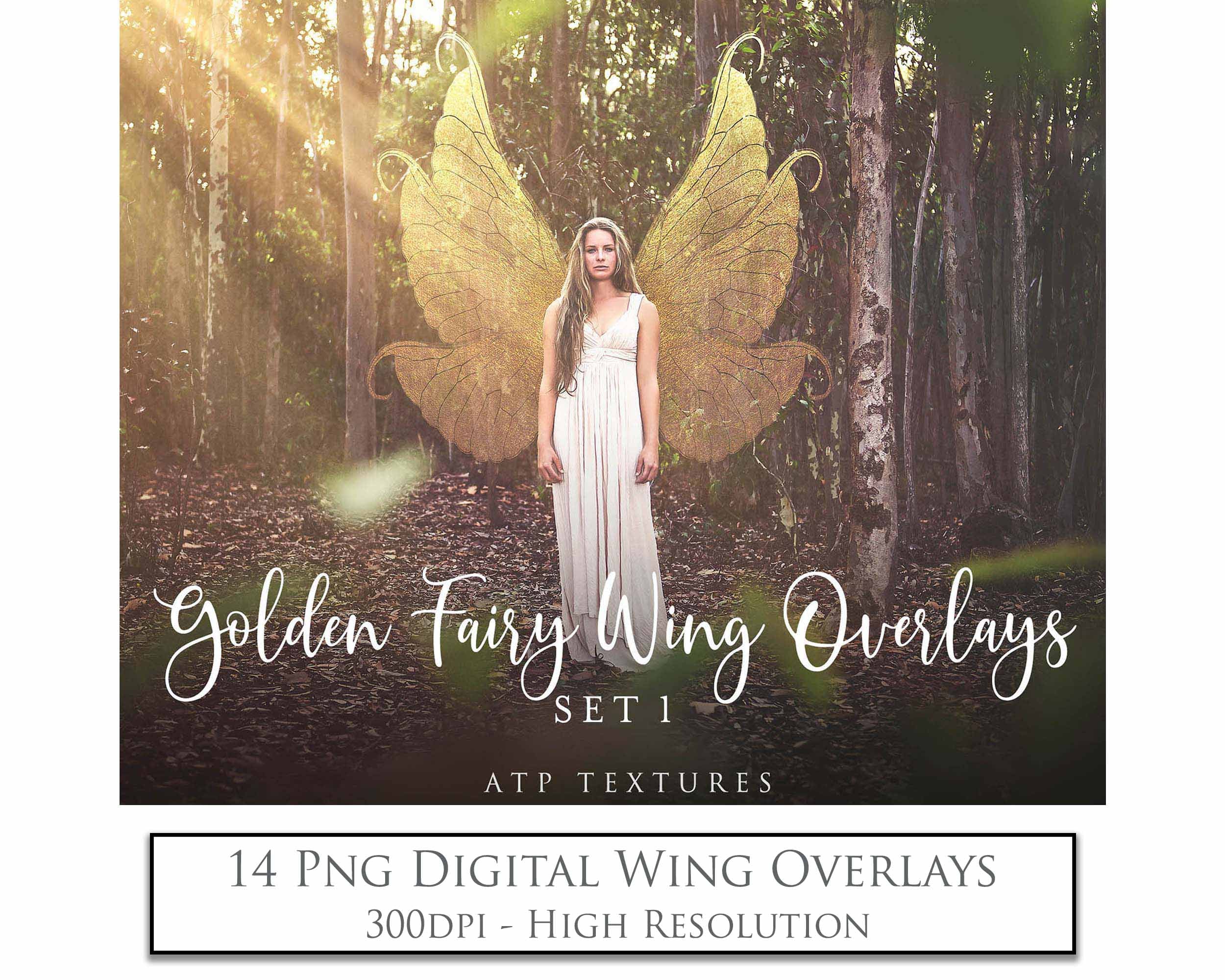 Butterfly fairy wings, Png overlays for photoshop. High resolution transparent, see through wings. Fairycore, Cosplay, Photographers, Photoshop Edits, Digital overlay for photography. Digital stock and resources. Graphic design. Colourful, Gold, Fantasy Wing Bundle. Graphic Assets for Fine Art design. By ATP Textures