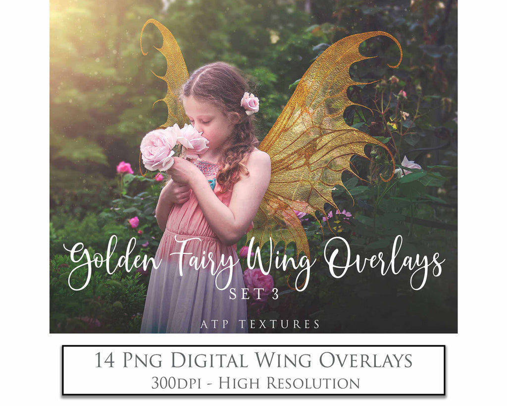 Golden fairy wings, Png overlays for photoshop. High resolution transparent, see through wings. Fairycore, Cosplay, Photographers, Photoshop Edits, Digital overlay for photography. Digital stock and resources. Graphic design. Colourful, Gold, Fantasy Wing Bundle. Assets for Fine Art design. By ATP Textures