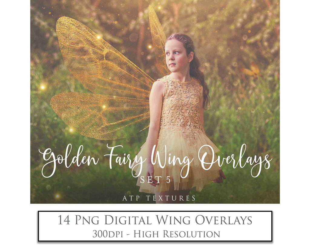 Golden fairy wings, Png overlays for photoshop. High resolution transparent, see through wings. Fairycore, Cosplay, Photographers, Photoshop Edits, Digital overlay for photography. Digital stock and resources. Graphic design. Colourful, Gold, Fantasy Wing Bundle. Assets for Fine Art design. By ATP Textures