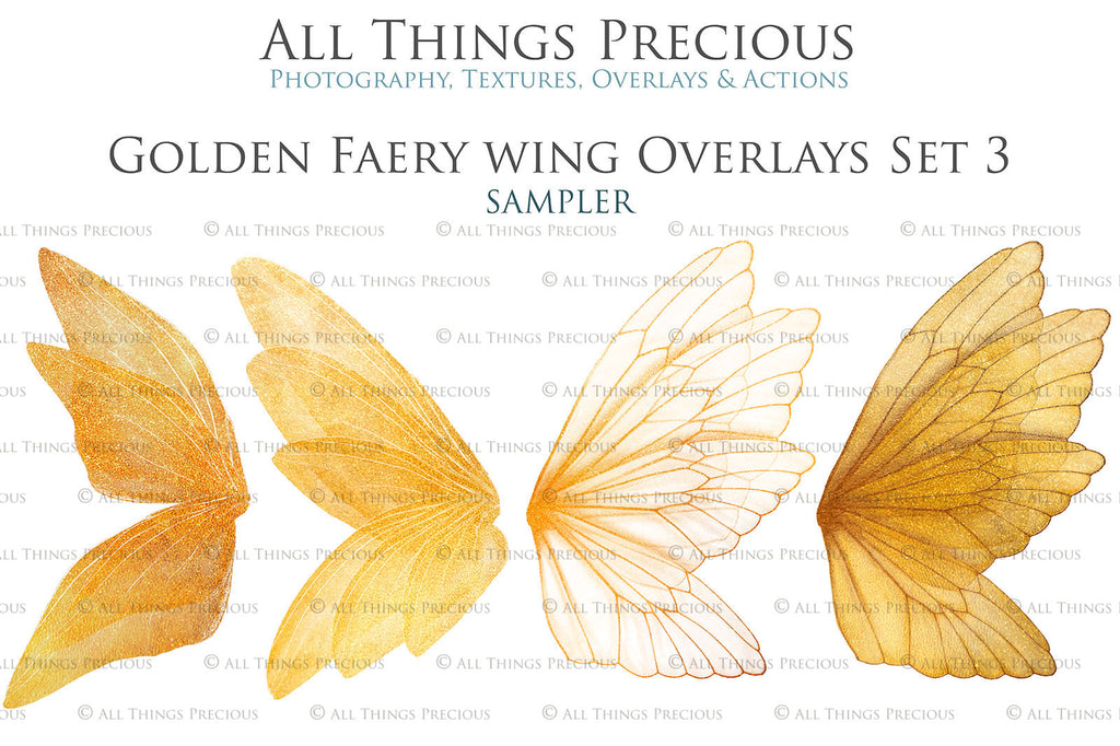 Golden fairy wings, Png overlays for photoshop. High resolution transparent, see through wings. Fairycore, Cosplay, Photographers, Photoshop Edits, Digital overlay for photography. Digital stock and resources. Graphic design. Colourful, Gold, Fantasy Wing Bundle. Assets for Fine Art design. By ATP Textures