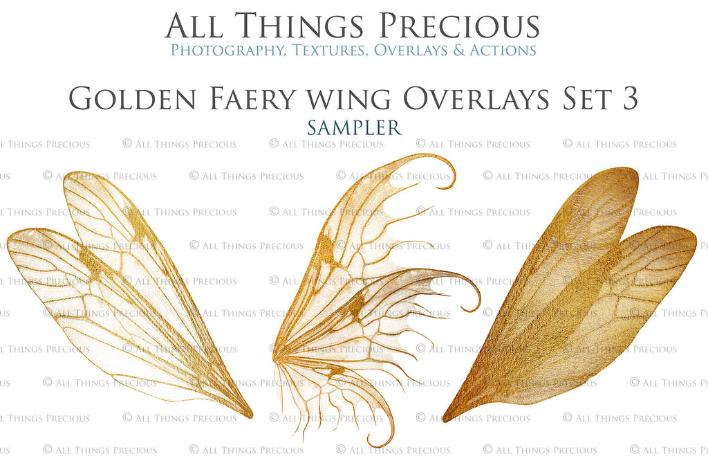 Golden fairy wings, Png overlays for photoshop. High resolution transparent, see through wings. Fairycore, Cosplay, Photographers, Photoshop Edits, Digital overlay for photography. Digital stock and resources. Graphic design. Colourful, Gold, Fantasy Wing Bundle. Assets for Fine Art design. By ATP Textures