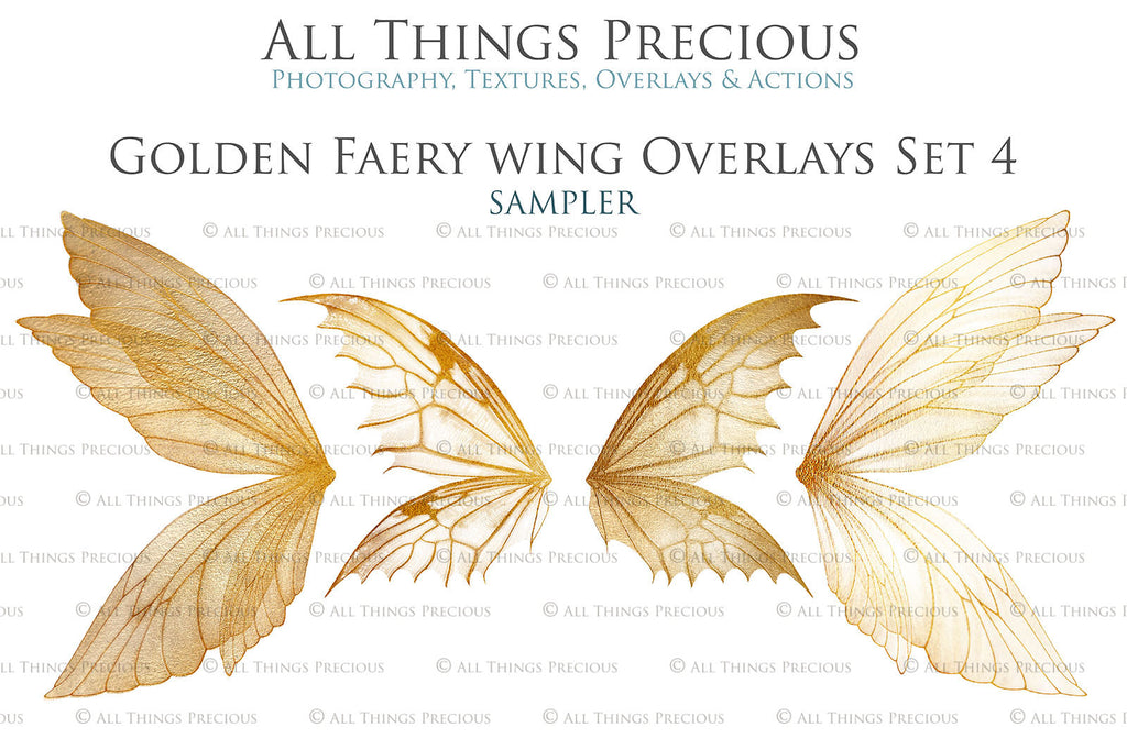 Golden fairy wings, Png overlays for photoshop. High resolution transparent, see through wings. Fairycore, Cosplay, Photographers, Photoshop Edits, Digital overlay for photography. Digital stock and resources. Graphic design. Colourful, Gold, Fantasy Wing Bundle. Assets for Fine Art design. By ATP Textures