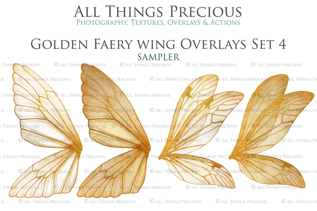 Golden fairy wings, Png overlays for photoshop. High resolution transparent, see through wings. Fairycore, Cosplay, Photographers, Photoshop Edits, Digital overlay for photography. Digital stock and resources. Graphic design. Colourful, Gold, Fantasy Wing Bundle. Assets for Fine Art design. By ATP Textures