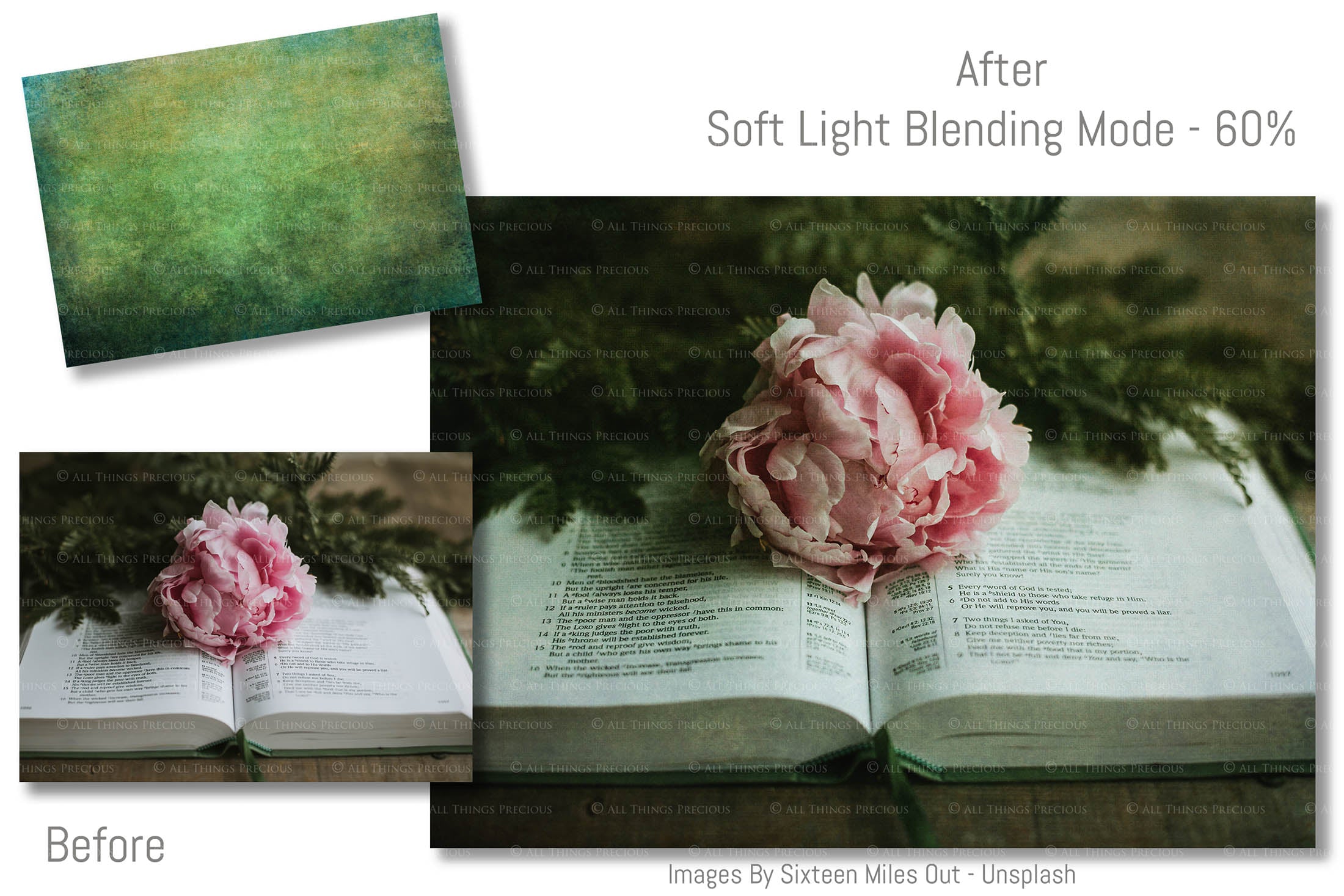 Vibrant Green textures. Fine art textures. Rich, Nature colour tints. Texture for photographers and digital editing. Photo Overlays. Antique, Vintage, Grunge, Light, Dark Bundle. Textured printable Canvas, Colour, Monochrome, Bundle. High resolution, 300dpi Graphic Assets for photography, digital scrapbooking and design. By ATP Textures