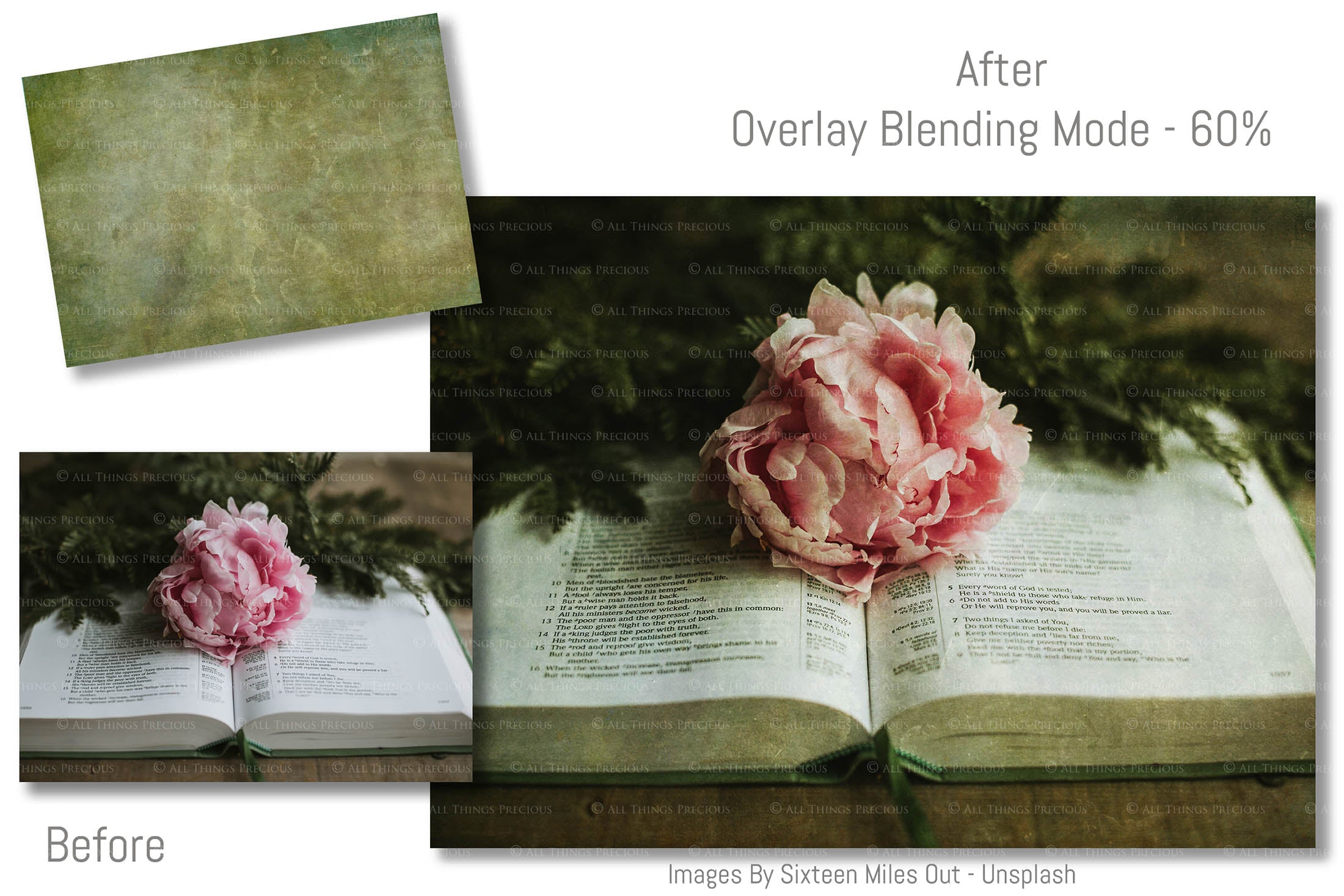 Vibrant Green textures. Fine art textures. Rich, Nature colour tints. Texture for photographers and digital editing. Photo Overlays. Antique, Vintage, Grunge, Light, Dark Bundle. Textured printable Canvas, Colour, Monochrome, Bundle. High resolution, 300dpi Graphic Assets for photography, digital scrapbooking and design. By ATP Textures