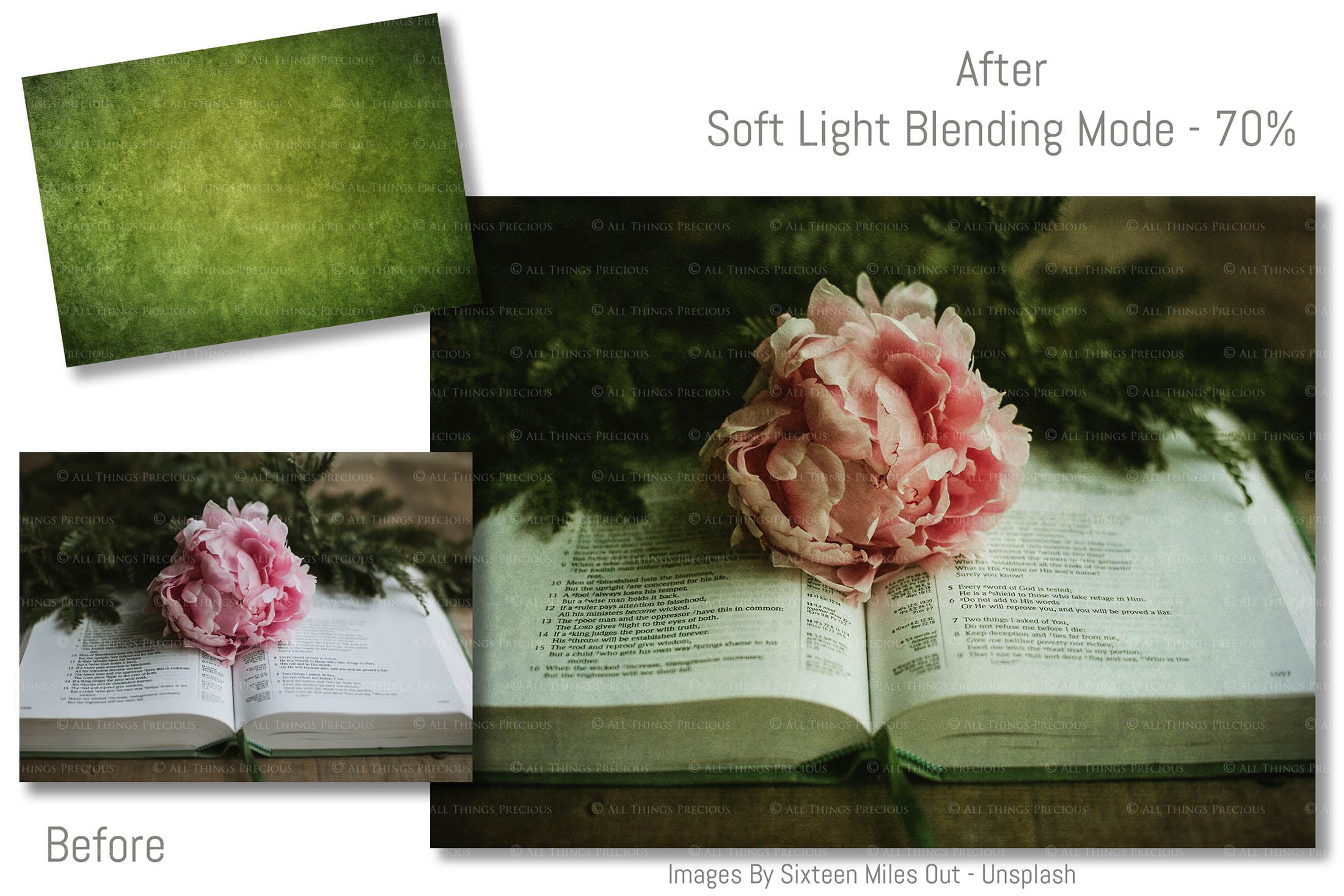 Vibrant Green textures. Fine art textures. Rich, Nature colour tints. Texture for photographers and digital editing. Photo Overlays. Antique, Vintage, Grunge, Light, Dark Bundle. Textured printable Canvas, Colour, Monochrome, Bundle. High resolution, 300dpi Graphic Assets for photography, digital scrapbooking and design. By ATP Textures