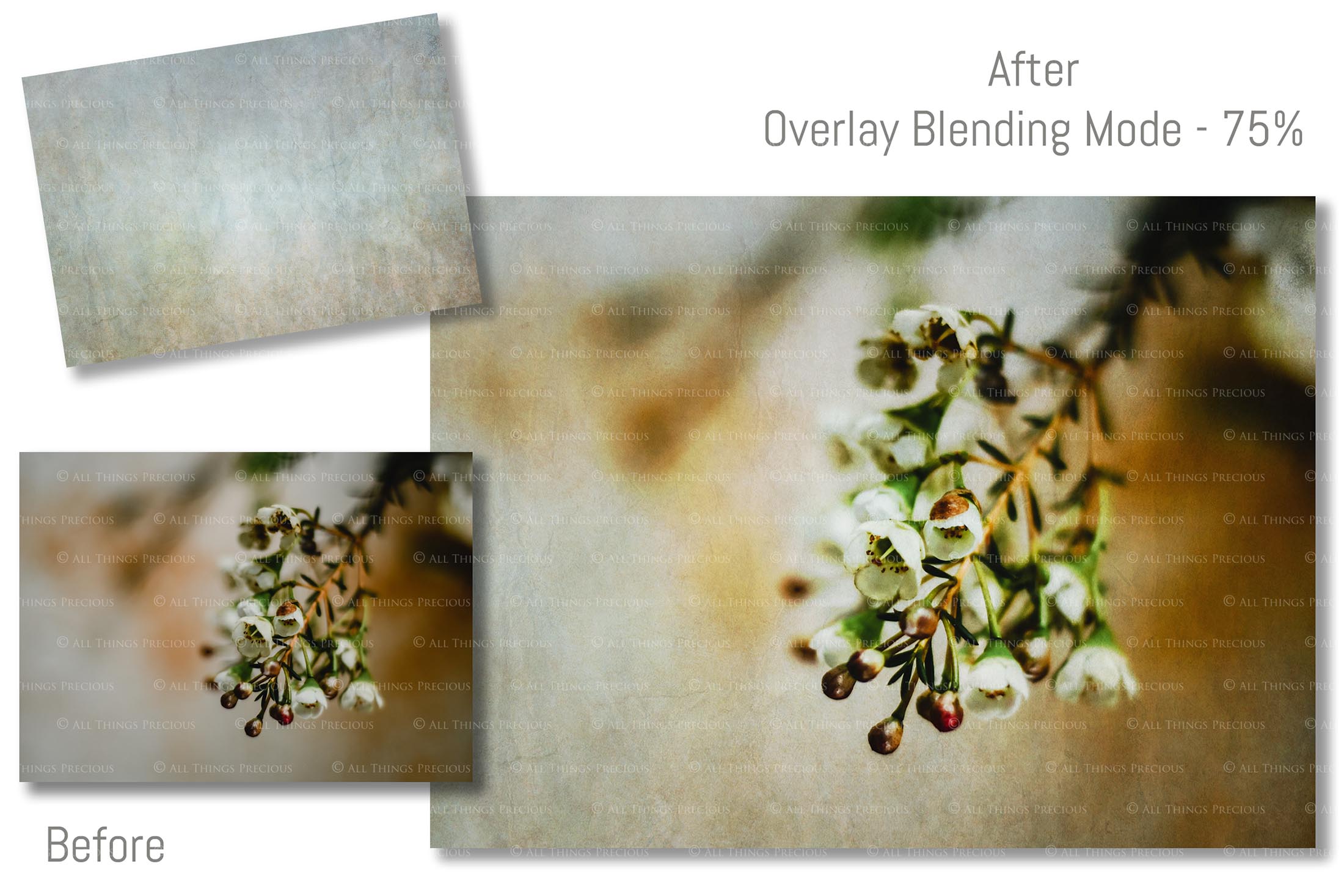 40 High resolution Textures for Photographers, Photoshop, Digital art and Creatives. Digital photography edits, Photoshop. Scratch, Fine Art Antique, Vintage, Grunge, Light, Dark Bundle. Textured printable Canvas, Colour, Monochrome, Bundle. Graphic Assets for photography, digital scrapbooking and design. ATP Textures