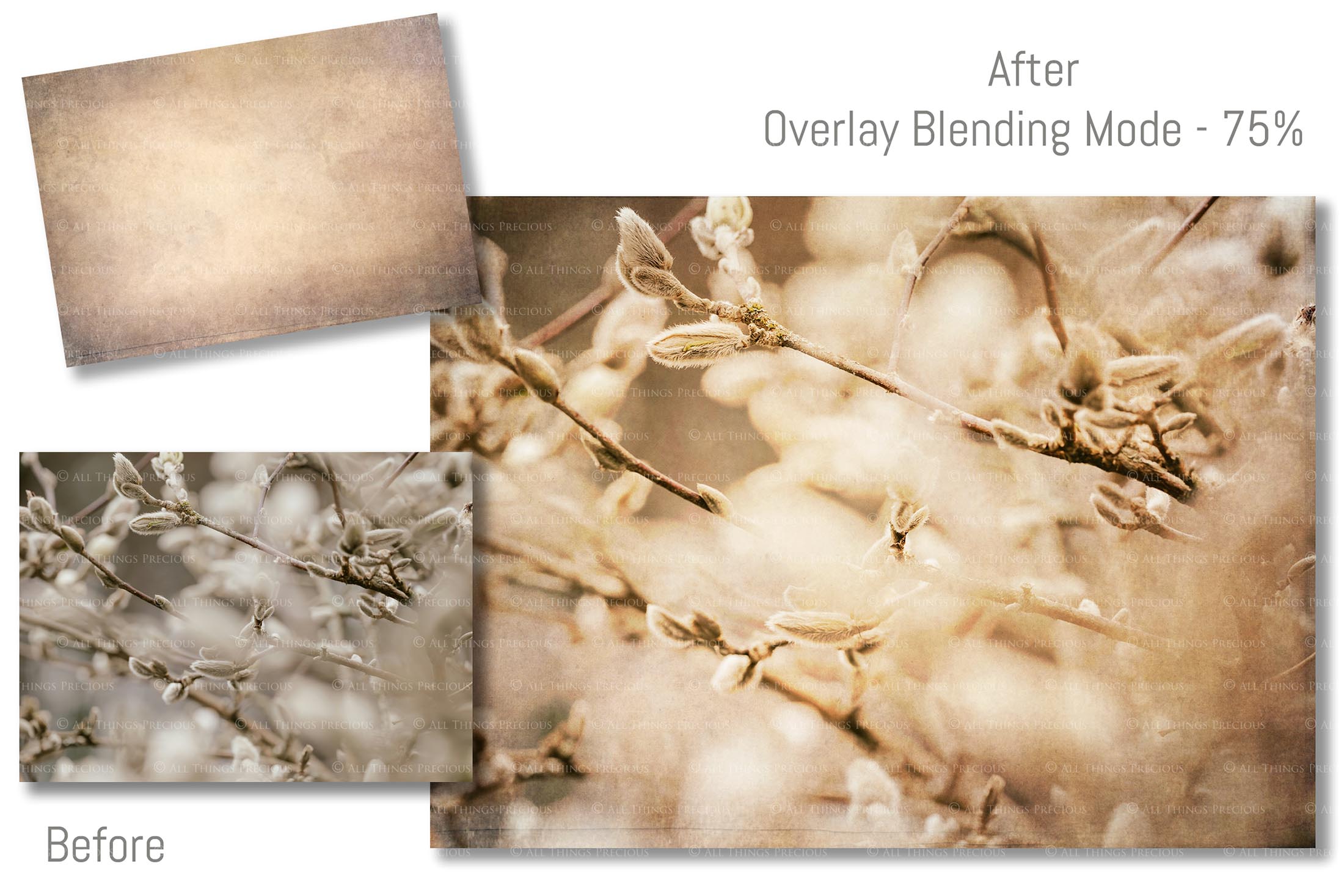 40 High resolution Textures for Photographers, Photoshop, Digital art and Creatives. Digital photography edits, Photoshop. Scratch, Fine Art Antique, Vintage, Grunge, Light, Dark Bundle. Textured printable Canvas, Colour, Monochrome, Bundle. Graphic Assets for photography, digital scrapbooking and design. ATP Textures