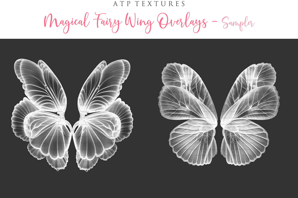 Digital Faery Wing Overlays! Fairy wings, Png overlays for photoshop. Photography editing. High resolution, 300dpi fairy wings. Overlays for photography. Digital stock and resources. Graphic design. Fairy Photos. Colourful Fairy wings. Faerie Wings.