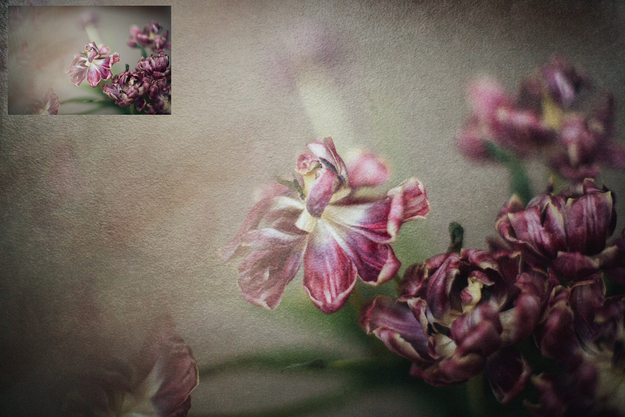 40 High resolution Textures for Photographers, Photoshop, Digital art and Creatives. Digital photography edits, Photoshop. Scratch, Fine Art Antique, Vintage, Grunge, Light, Dark Bundle. Textured printable Canvas, Colour, Monochrome, Bundle. Graphic Assets for photography, digital scrapbooking and design. ATP Textures