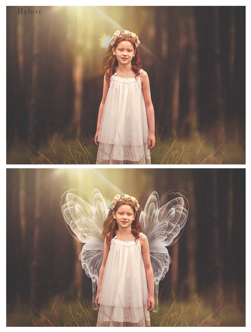 Digital Faery Wing Overlays! Fairy wings, Png overlays for photoshop. Photography editing. High resolution, 300dpi fairy wings. Overlays for photography. Digital stock and resources. Graphic design. Fairy Photos. Colourful Fairy wings. Faerie Wings.