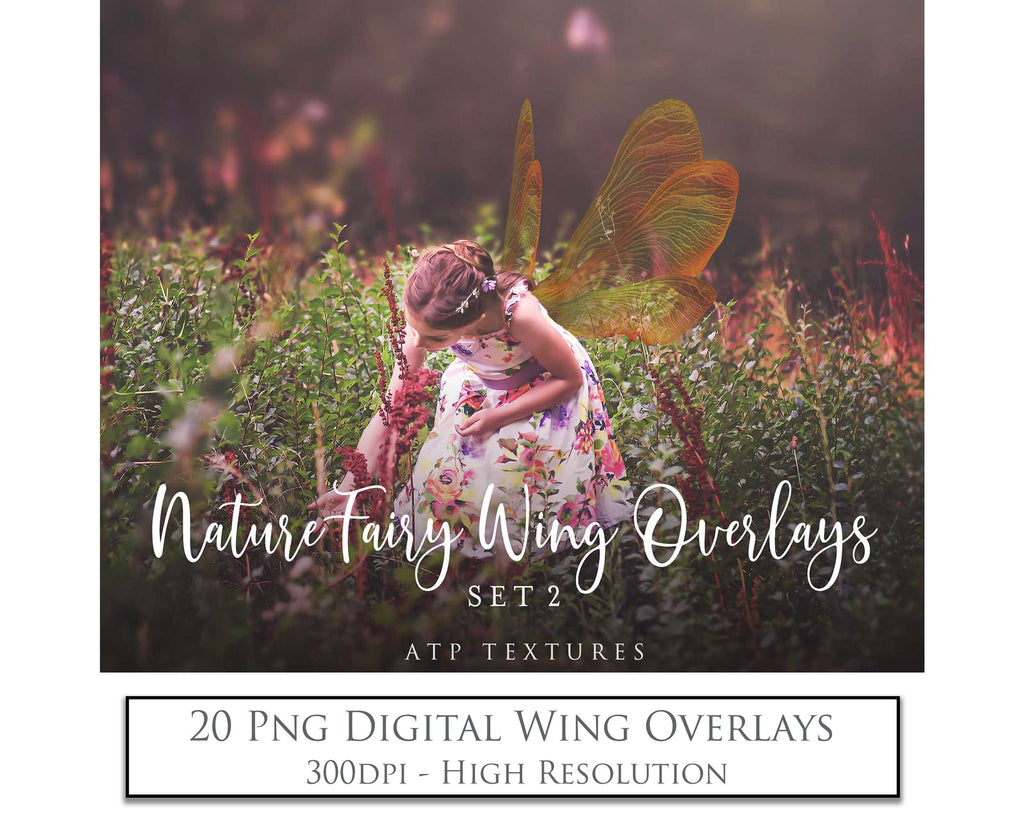 Digital Fairy Wings Overlays clipart. Png transparent see through files for photoshop. Butterfly Angel, Color, Print Photography editing. High resolution, 300dpi. Printable, Photography Graphic design assets, add on stock resources. Magical Scrapbooking design. Faery Photographer edit. Colorful Big Bundle. ATP Textures