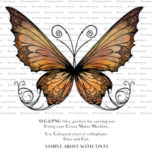 Load image into Gallery viewer, SVG FAIRY WINGS for CRICUT - Set 111
