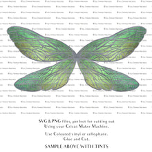 Load image into Gallery viewer, SVG Fairy wings for Paper craft. Cricut or Silhouette Cameo Cut and assemble. Halloween, Cosplay costume, wings pattern template. Png and Svg files. Digital Download.
