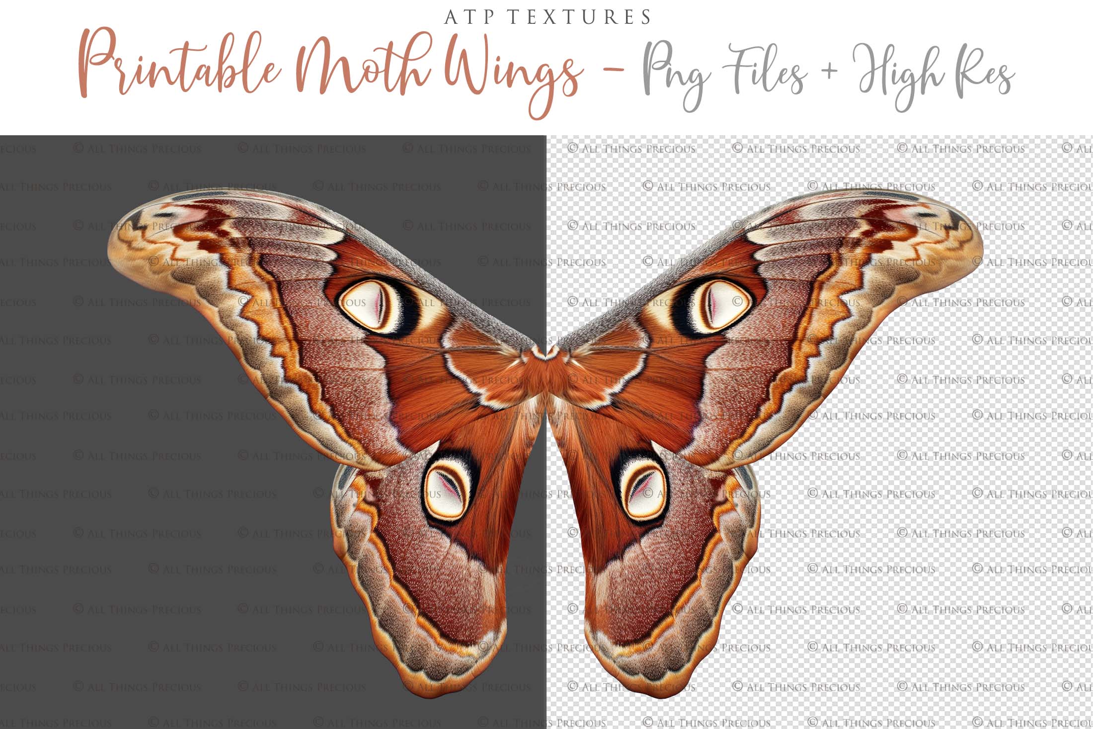 Printable moth butterfly wings for creating fairy wings for costumes and fantasy. Cosplay ren faire or photography. By ATP Textures.