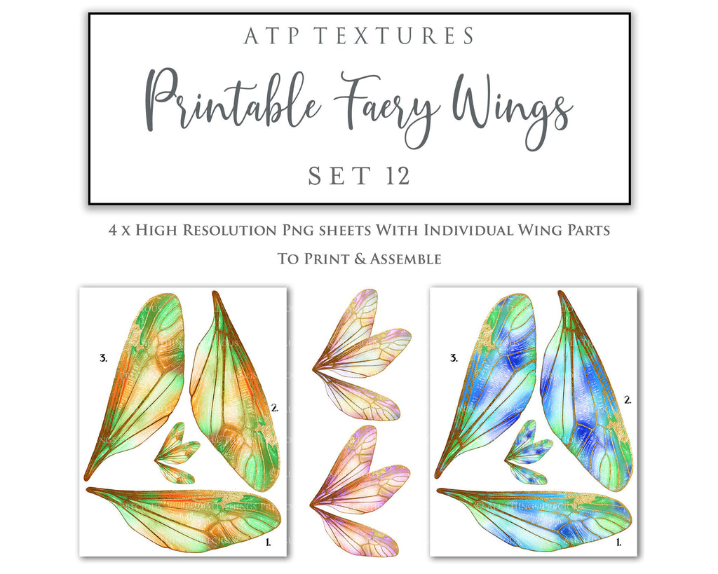 ATP Textures