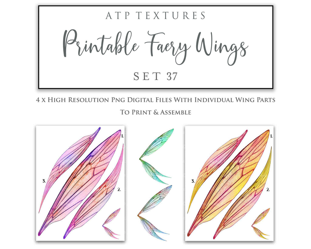 ATP Textures