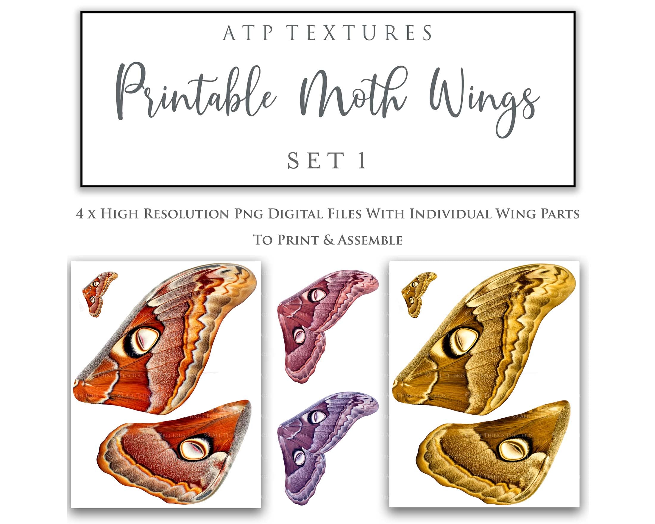 Printable moth butterfly wings for creating fairy wings for costumes and fantasy. Cosplay ren faire or photography. By ATP Textures.