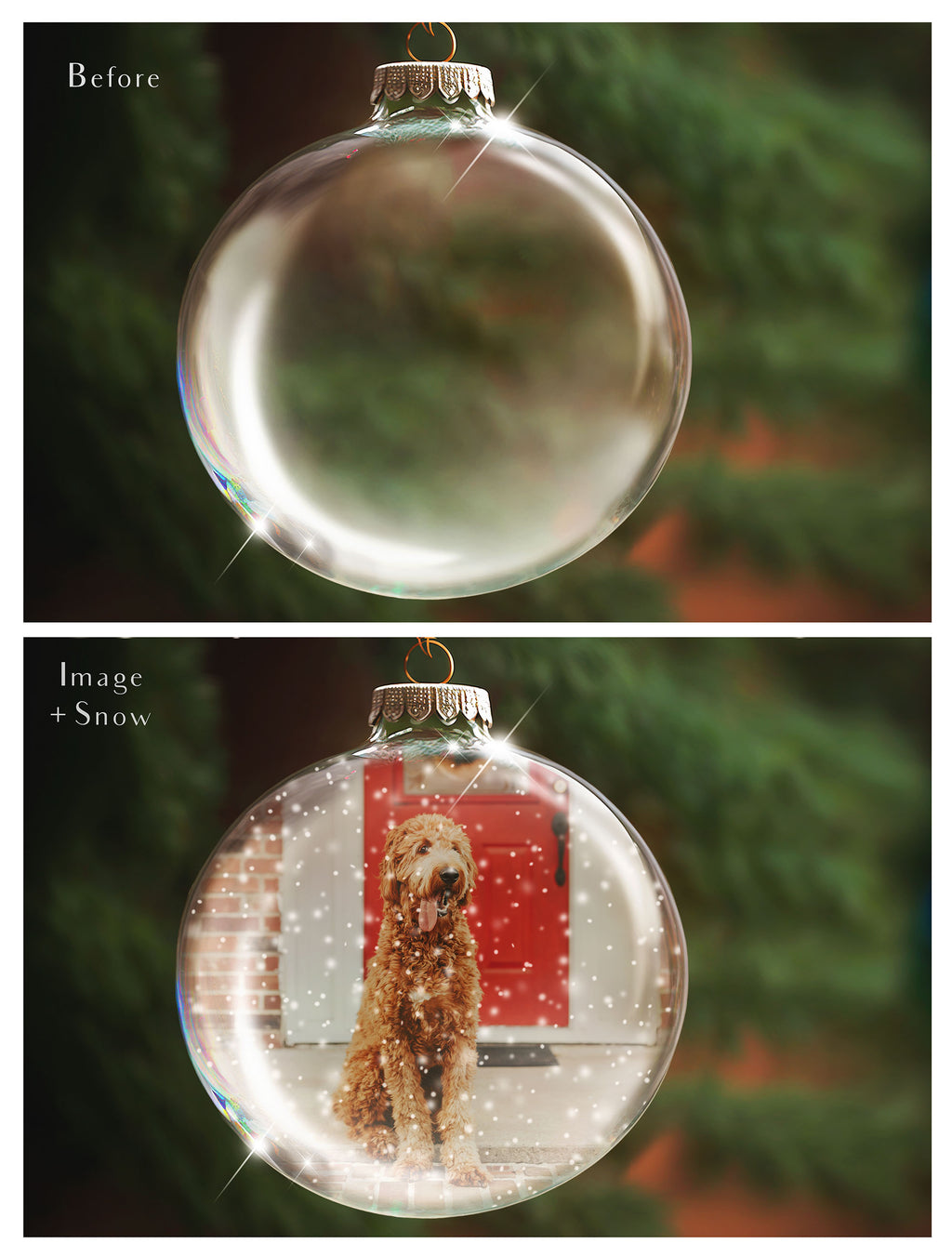 Christmas Glass Bauble Ornament Overlay and Digital Png Background. Snow flurries and PSD template included. The globe is transparent, perfect for you to add your own images and retain the snow globe effect.This file is 6000 x 4000, 300dpi. Photography, Scrapbooking, Photo Overlays, Png, Jpeg, Psd. ATP Textures.