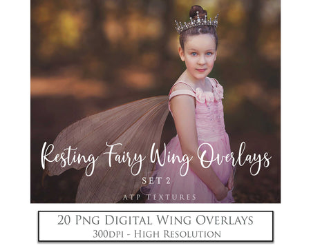 Digital Fairy Wing Overlays clipart. Png transparent see through files for photoshop. Butterfly Angel, Color, Print Photography editing. High resolution, 300dpi. Printable, Photography Graphic design assets, add on stock resources. Scrapbooking design. Fairy Photographer edit. Colorful Big Bundle. ATP Textures.