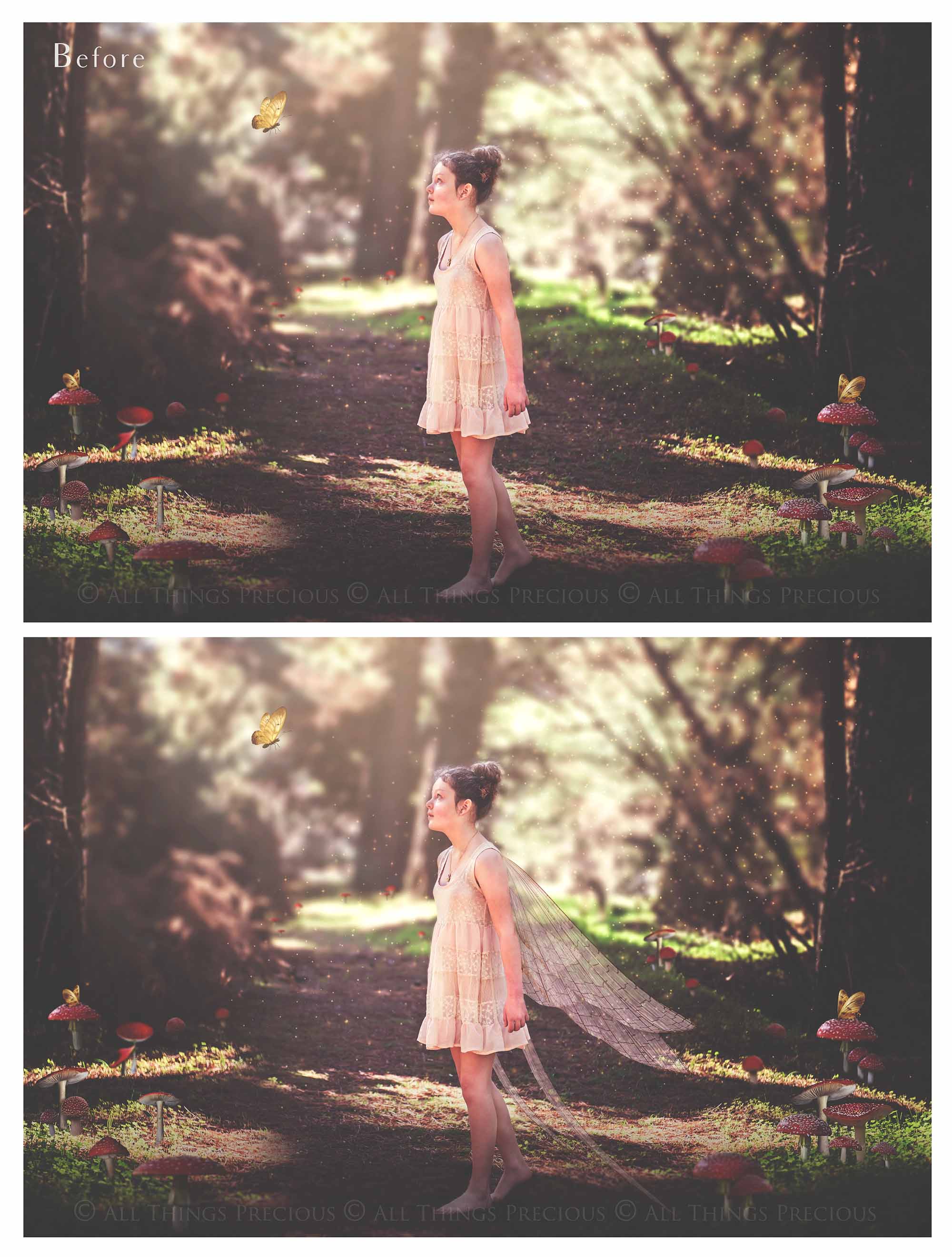 Digital Overlays for Photographers, Graphic design, scrapbooking and creatives.. Fairy Wings. High resolution, fine art digital assets for creating fantasy art.  Png overlay with transparent background. Magical Edit. Png Photo editing art assets.