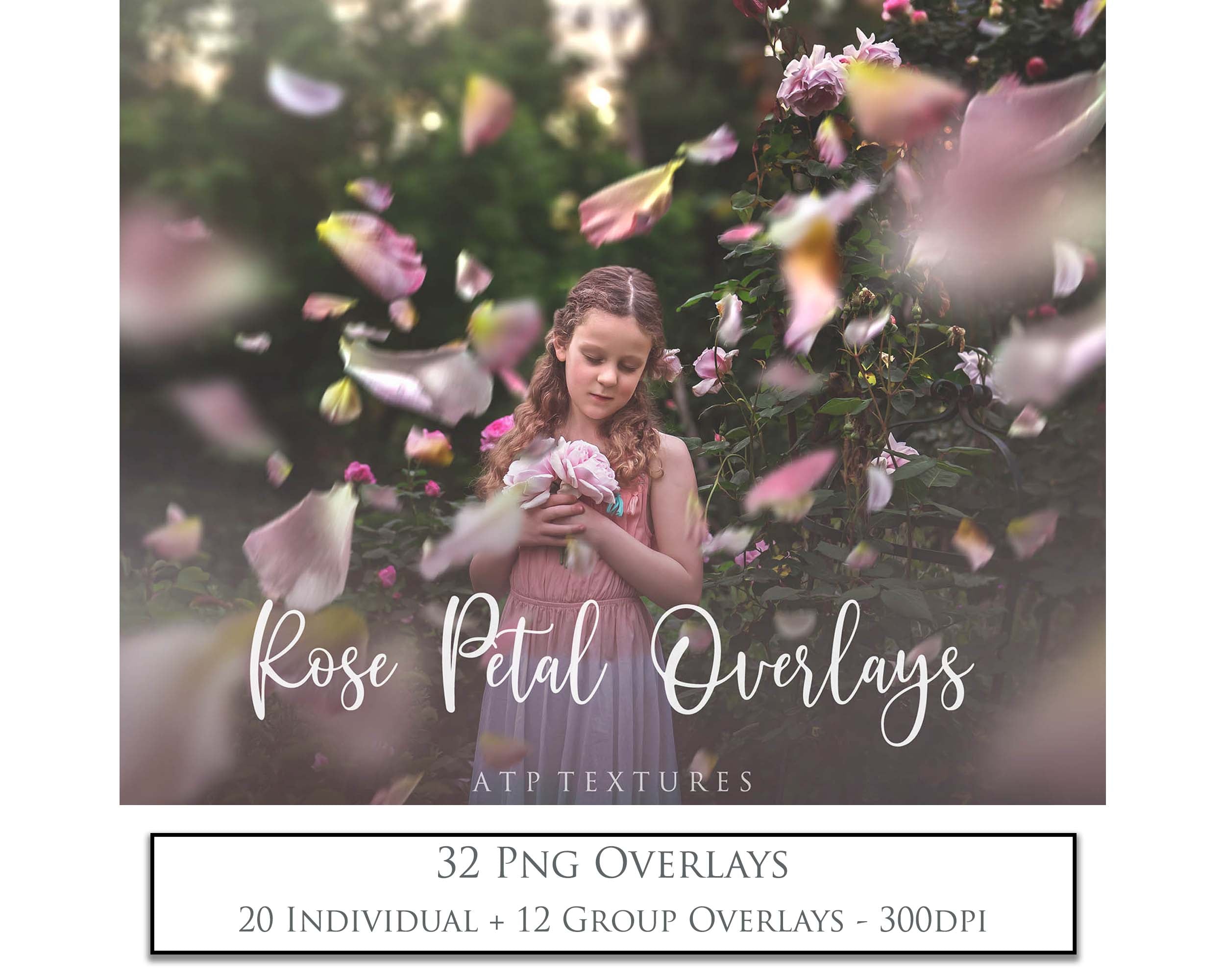 ROSE PETAL Digital Overlays