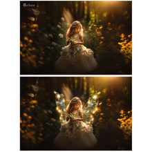 Load image into Gallery viewer, 90 AI Sparkle FAIRY WING Overlays Set 1
