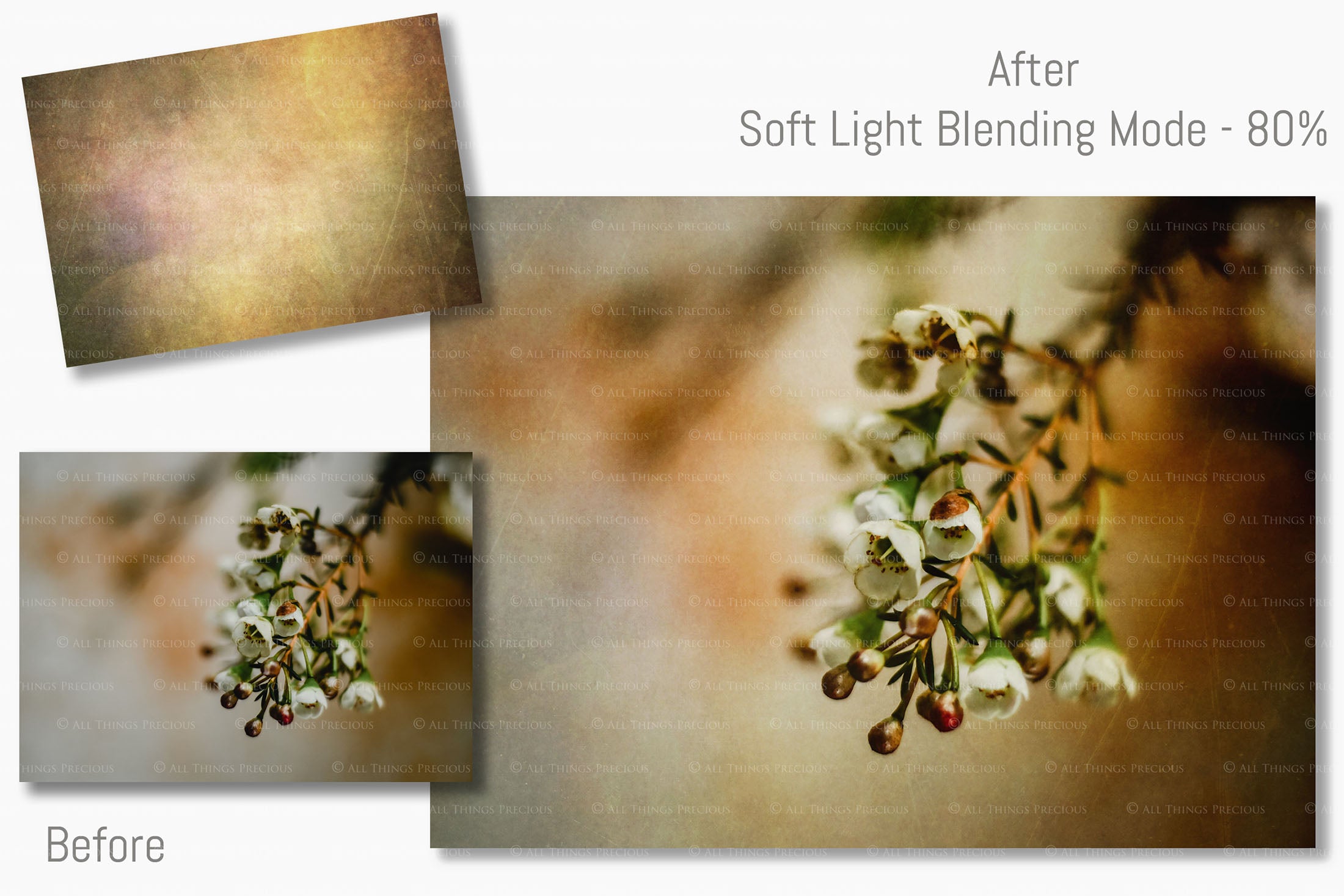 Warm and rich Summer Fine art texture for photographers, digital editing. Photo Overlays. Antique, Vintage, Grunge, Light, Aged Bundle. Textured printable Canvas, Colour, black and white, Bundle. High resolution, 300dpi Graphic Assets for photography, digital scrapbooking and design. By ATP Textures