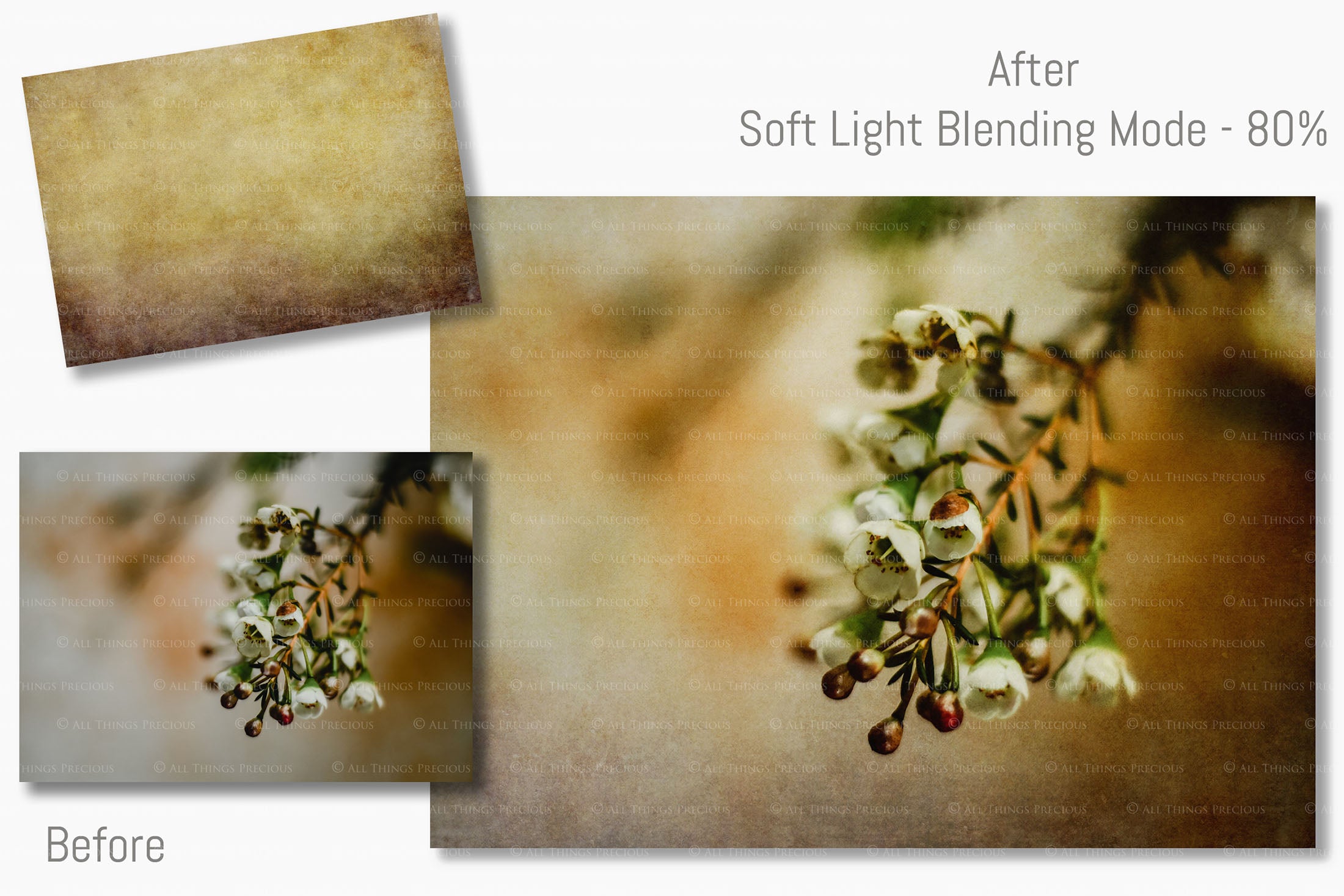 Warm and rich Summer Fine art texture for photographers, digital editing. Photo Overlays. Antique, Vintage, Grunge, Light, Aged Bundle. Textured printable Canvas, Colour, black and white, Bundle. High resolution, 300dpi Graphic Assets for photography, digital scrapbooking and design. By ATP Textures