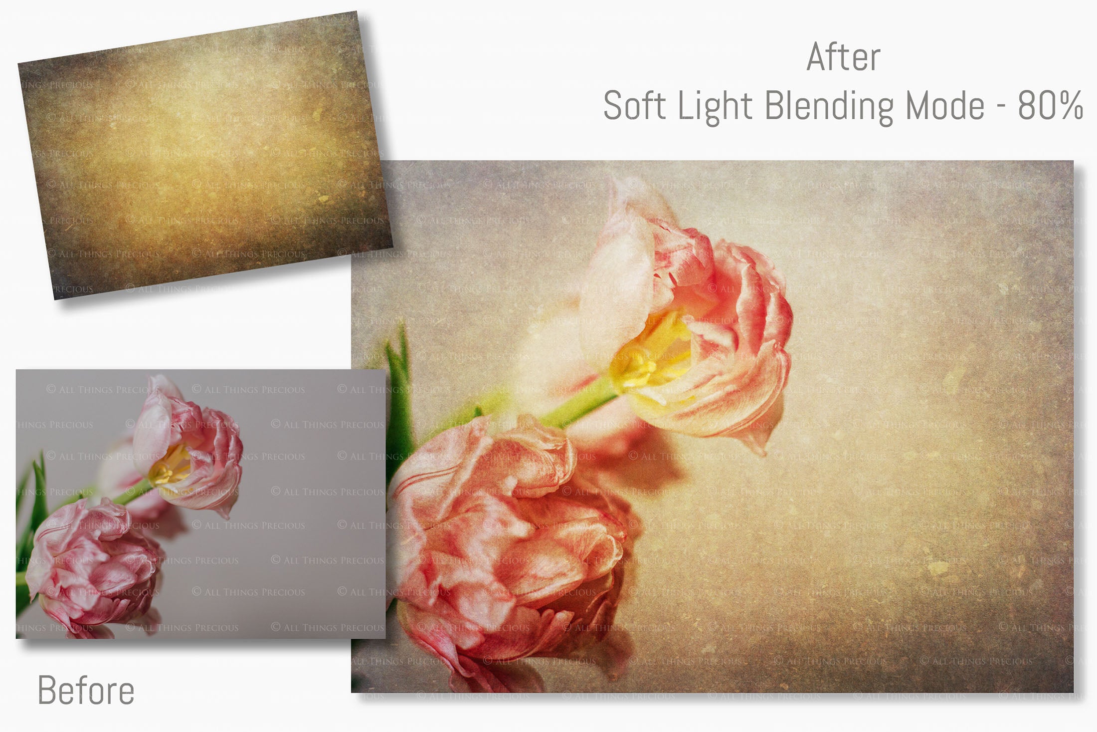 Warm and rich Summer Fine art texture for photographers, digital editing. Photo Overlays. Antique, Vintage, Grunge, Light, Aged Bundle. Textured printable Canvas, Colour, black and white, Bundle. High resolution, 300dpi Graphic Assets for photography, digital scrapbooking and design. By ATP Textures