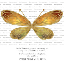 Load image into Gallery viewer, SVG, PNG Clipart, Fairy Wings, for Cricut and Silhouette Machine. Cut out and make your own real fairy wings. For Costumes, Halloween, Cosplay Wings, Adult Wings, Child size wings. Use them for Wedding invitations, sublimation print  or decorations.
