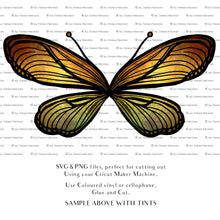 Load image into Gallery viewer, SVG, PNG Clipart, Fairy Wings, for Cricut and Silhouette Machine. Cut out and make your own real fairy wings. For Costumes, Halloween, Cosplay Wings, Adult Wings, Child size wings. Use them for Wedding invitations, sublimation print  or decorations.
