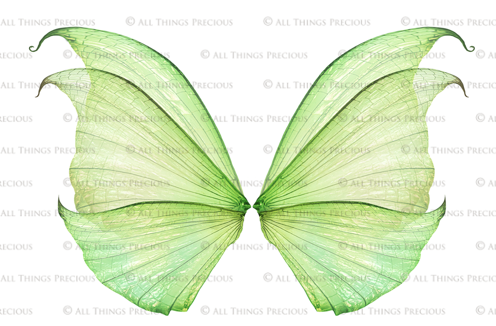 Digital Fairy Wings Overlays clipart. Png transparent see through files for photoshop. Butterfly Angel, Color, Print Photography editing. High resolution, 300dpi. Printable, Photography Graphic design assets, add on stock resources. Magical Scrapbooking design. Faery Photographer edit. Colorful Big Bundle. ATP Textures