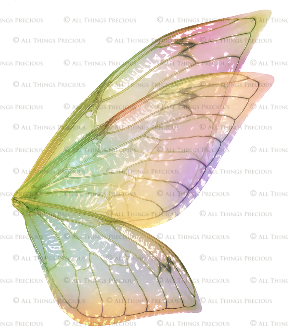 Digital Fairy Wings Overlays clipart. Png transparent see through files for photoshop. Butterfly Angel, Color, Print Photography editing. High resolution, 300dpi. Printable, Photography Graphic design assets, add on stock resources. Magical Scrapbooking design. Faery Photographer edit. Colorful Big Bundle. ATP Textures