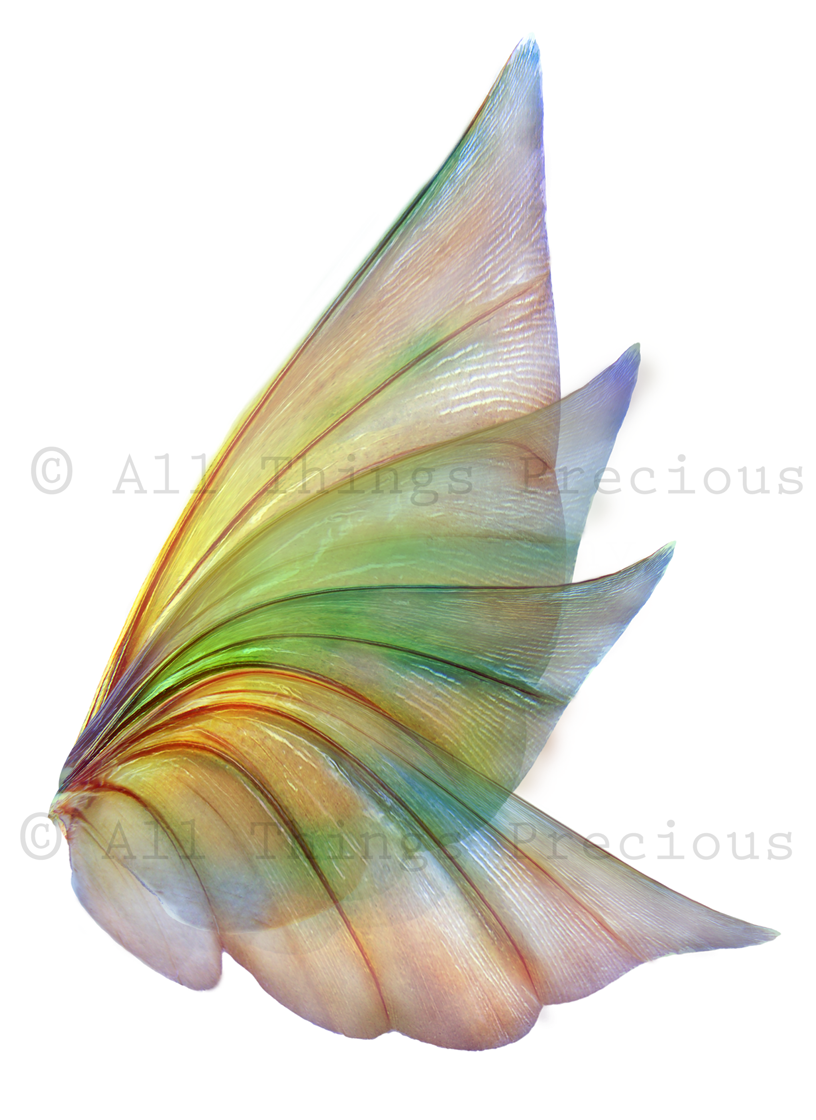 Digital Fairy Wings Overlays clipart. Png transparent see through files for photoshop. Butterfly Angel, Color, Print Photography editing. High resolution, 300dpi. Printable, Photography Graphic design assets, add on stock resources. Magical Scrapbooking design. Faery Photographer edit. Colorful Big Bundle. ATP Textures